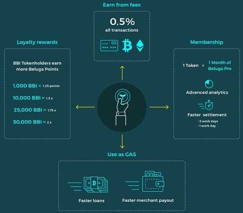 Beluga Pay Structure