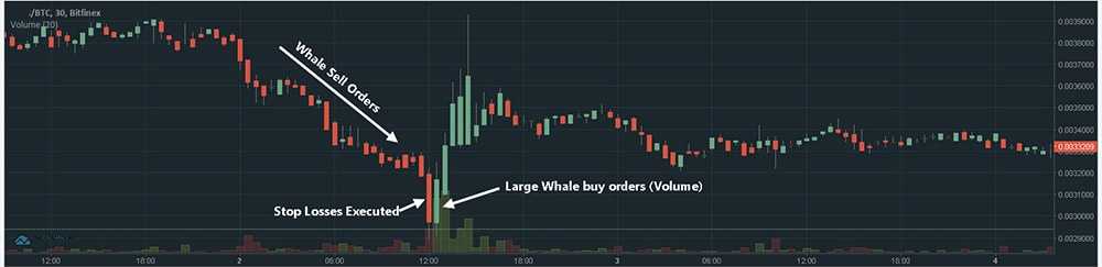 Stop Loss hunting Chart