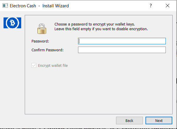 Choosing Password to Encrypt Wallet