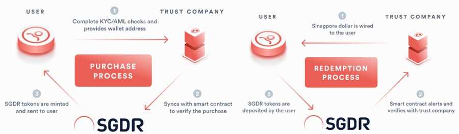 SGDR Coin Mechanics