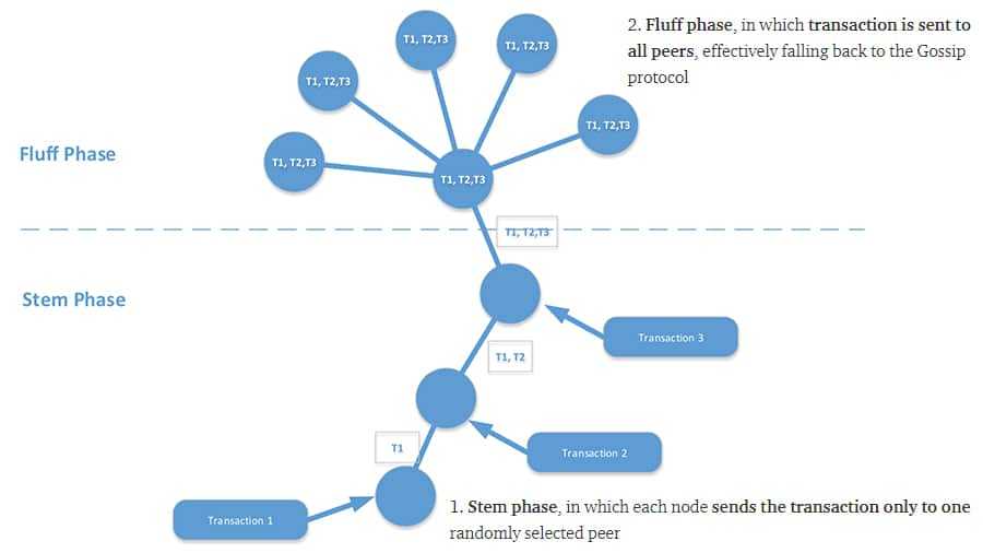 Dandelion Protocol