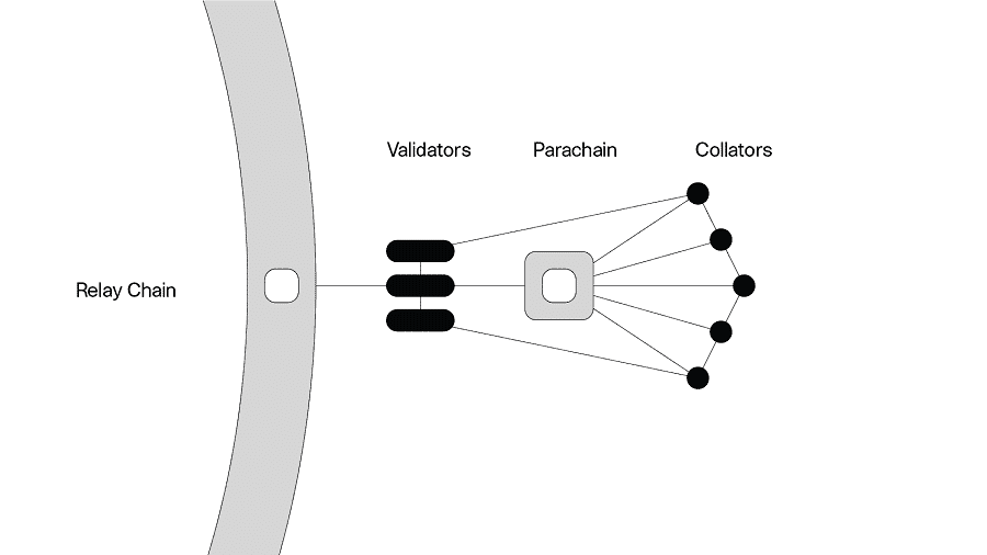 Parachains Polkadot Cryptocurrency