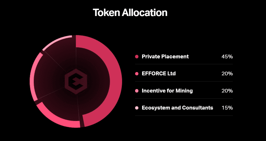 WOZXTokenAllocation