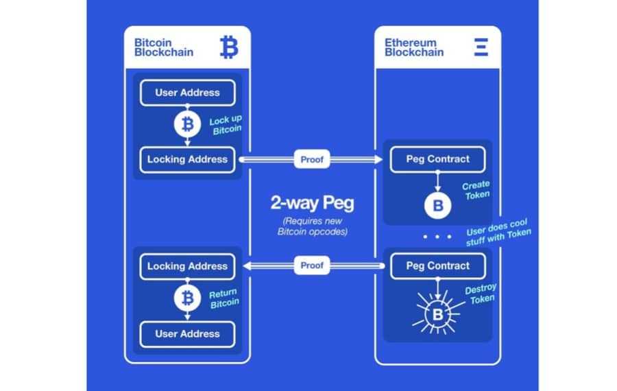 2Way Peg System