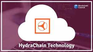 HydraChain Technology