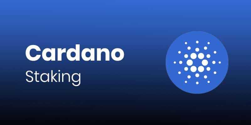 Cardano Staking