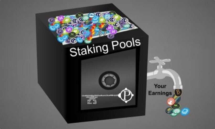 Staking Pools