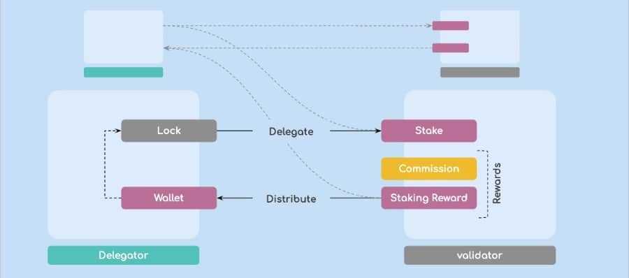 Validators vs Delegators