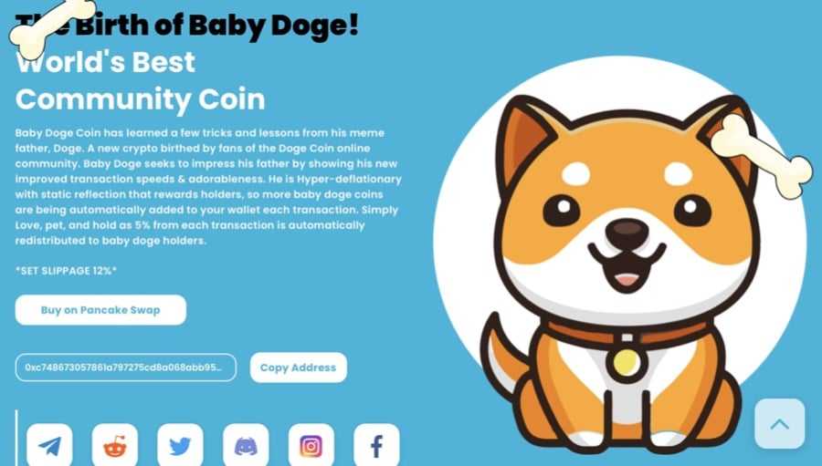 Baby Dogecoin 