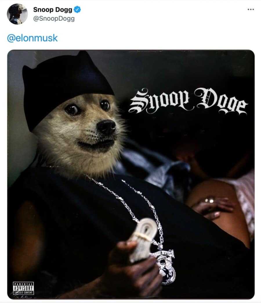 Snoop Doge