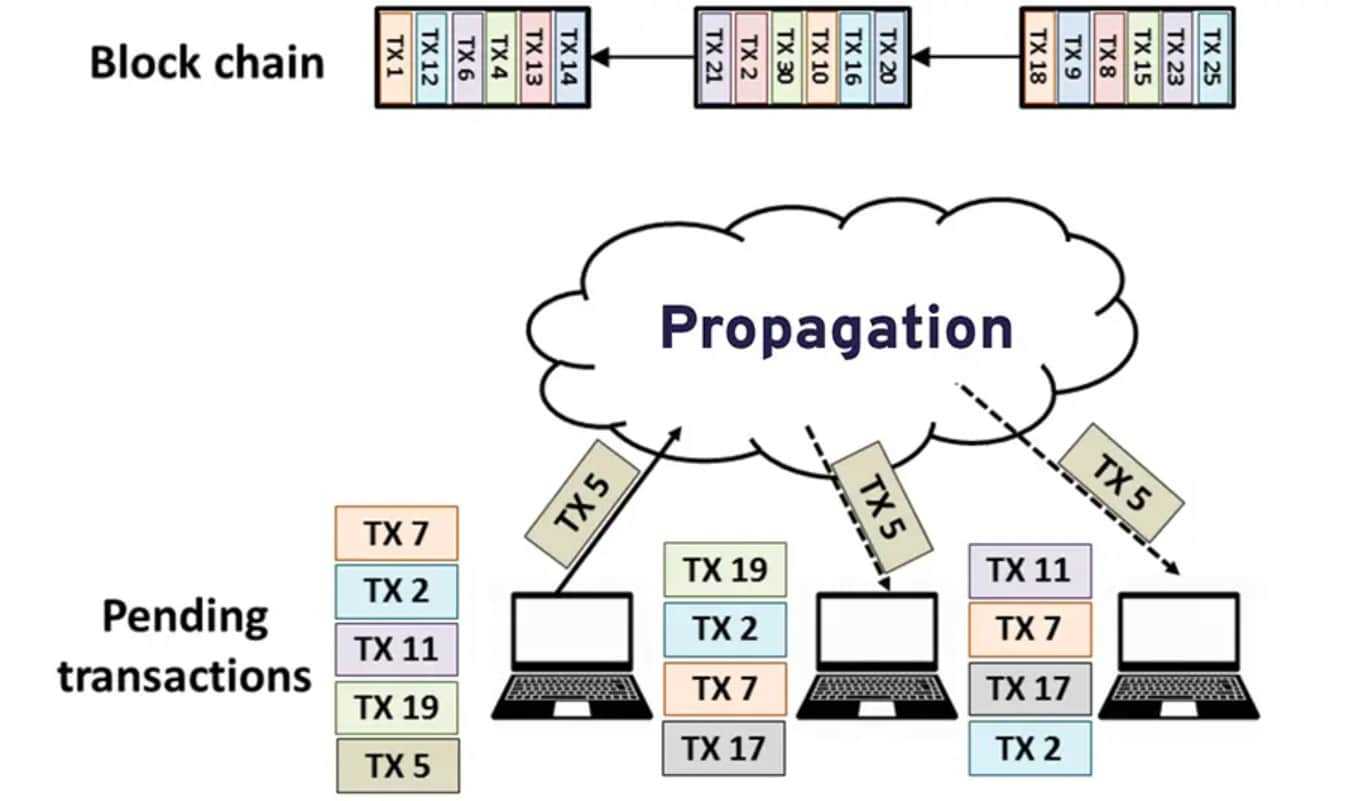 algorand consensus mechanism