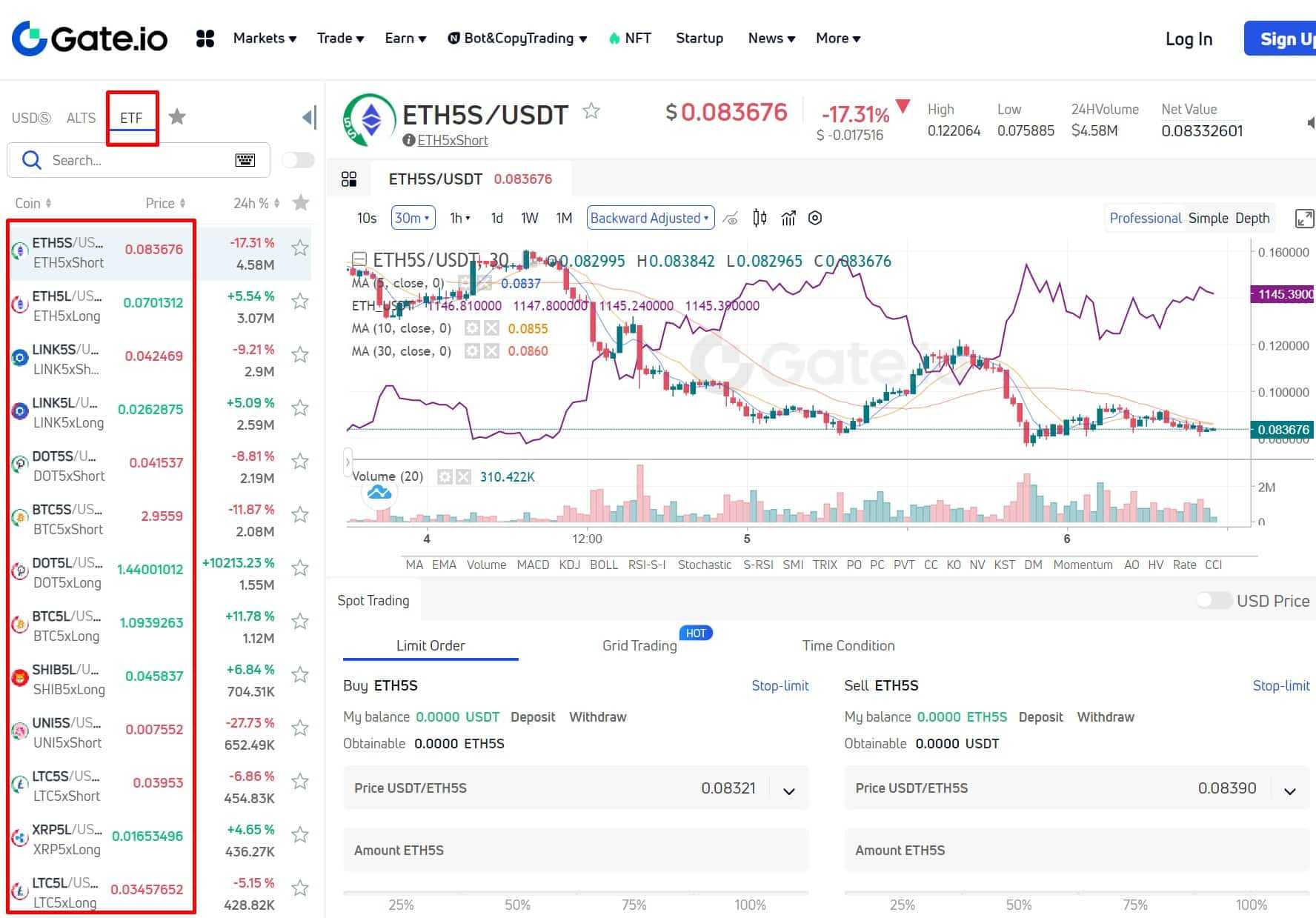 leveraged tokens