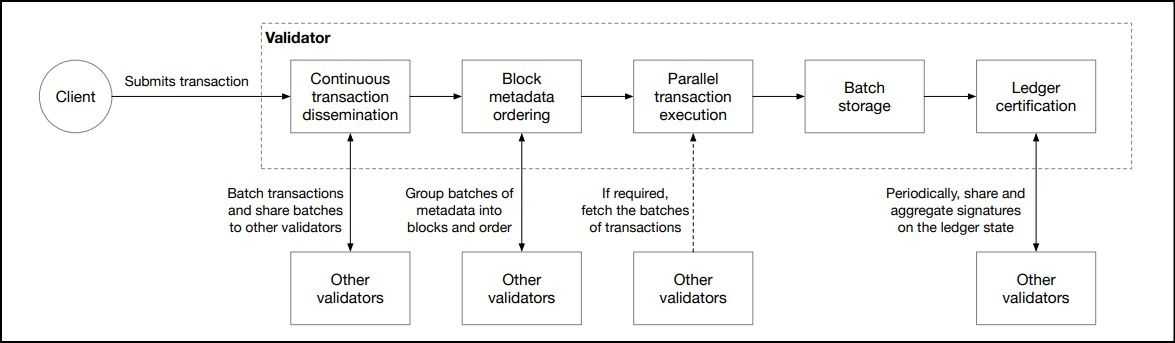 Aptos Transaction Life Cycle.jpg