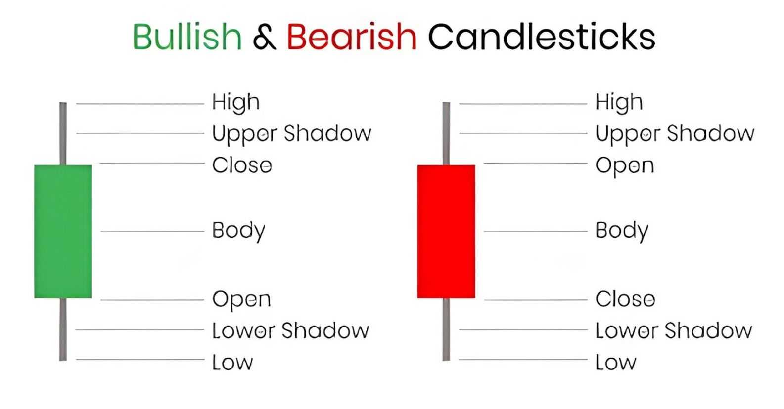 how to read crypto candle stick charts