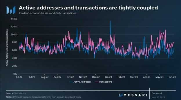 Cardano Network Activity.jpg