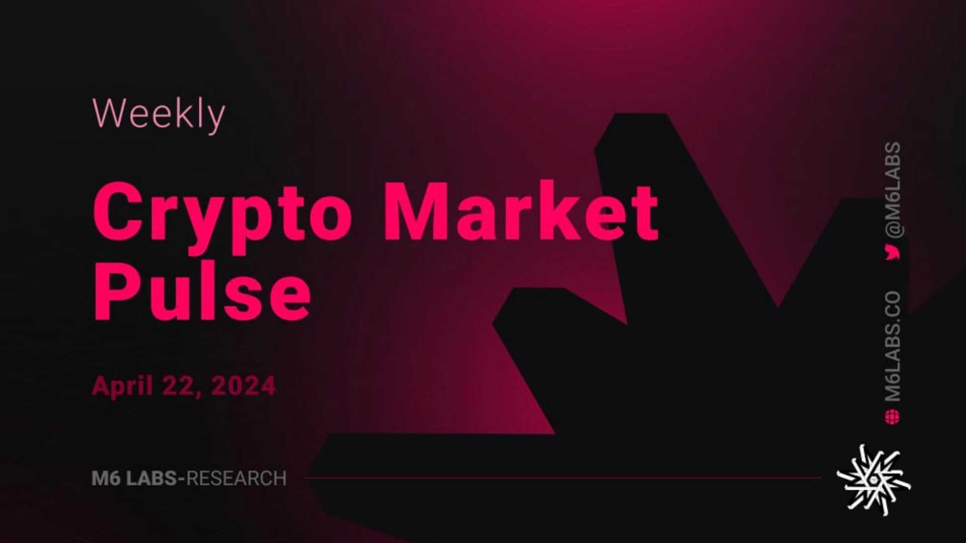 M6 Labs Crypto Market Pulse: Bitcoin DeFi Summer