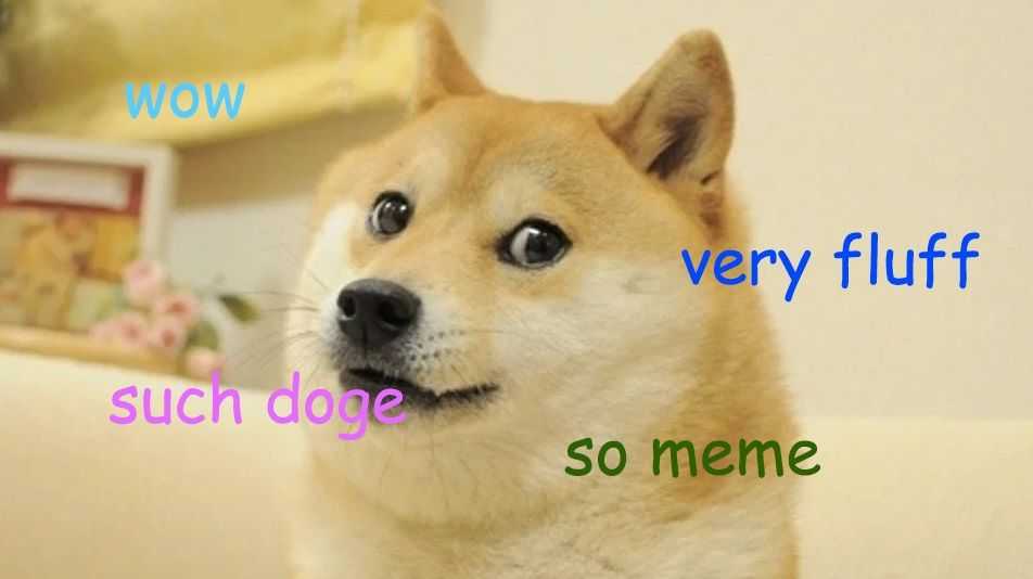 doge meme.jpg