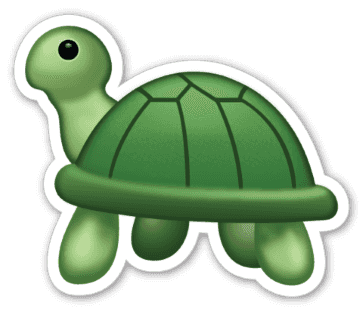 Turtle Coin