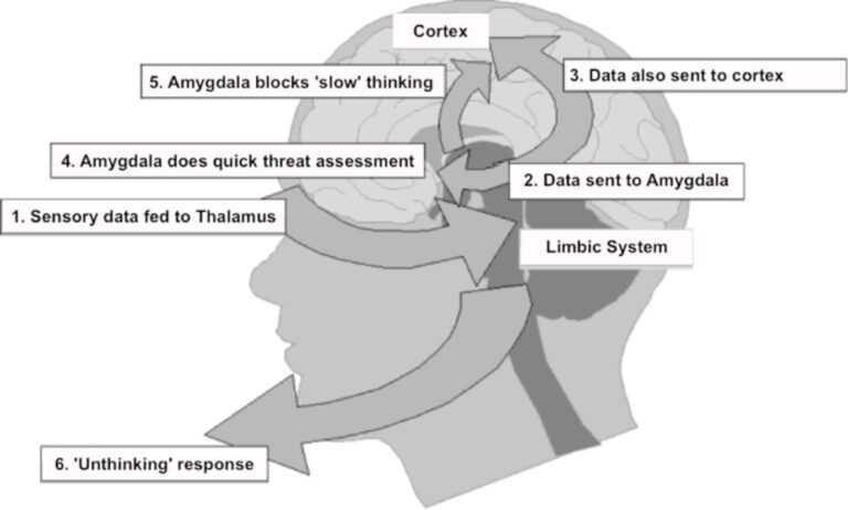 Trading Emotions